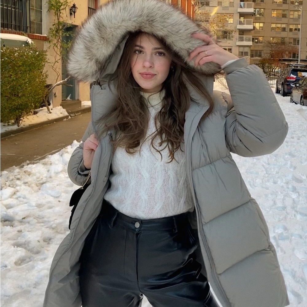 Aritzia Puffer w/ Hood Fur Taupe Winter Warm Coat